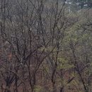 우진황토펜션 이미지