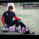 대구애견스쿨 이미지