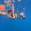 부어김밥 | 세부 호핑투어 추천 ② 세부플러스 내돈내산 후기, 가성비&amp;퀄리티 굿!