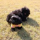 브리더하우스 이미지