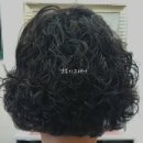 영부티크 이미지