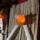 금소생태공원2 이미지