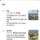 태국 치앙마이 4박 6일 경비 (항공권, 숙소, 엘리핀팜&amp;몬쨈 투어, 교통비, 환전, Gln)