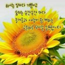 도운