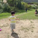 과학 - 탄성의 힘 ! 용수철 공 만들기⚽️ 이미지