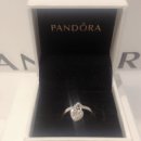 어바웃판도라 이미지