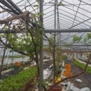 청한농장 이미지