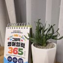 천년목 다육농장