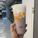 코코먼데이