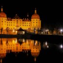 섬과 하루 이미지