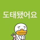 과제완성아직못하고생활엉망진창