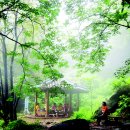 세상에 이런꽃도 다 있네유우*^^ 이미지