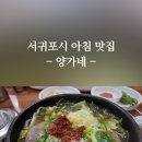 서귀포 아침식사 맛집 양가네 신화월드 근처 내돈내산