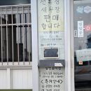 유람선길 | 사천 박서방식당 내돈내산 맛집 추천