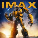 아이맥스(주) 이미지