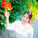 채서안 카카오 검색결과