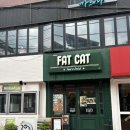 해방촌 카페 | 이태원 현지인이 많았던 ‘팻캣’에서 브런치로 인생 샌드위치 먹은 후기