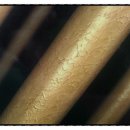 다대온천 이미지