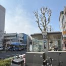 신성종합시장(건물형) | 동대문종합시장 주차 꿀팁 &amp; 봄 신상 자체제작 원단·부자재 발품 후기 🚗