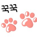 아이세상안경원 이미지