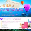 허니문가자고 이미지