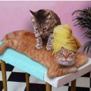 바른정형외과의원 이미지