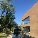 투비에이드 | 용인 수지 감성 베이커리 카페 - ‘타임투비’ 후기🌿