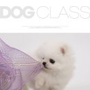 이용철동물병원 이미지