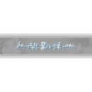 진라지 Daum카페