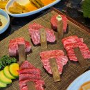 가야부처스 이미지