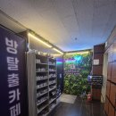 단비PC | 부천 방탈출카페 라비린스 이스케이프 _ 내셔널트레저 2인 플레이 찐 후기