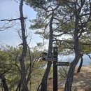 천태산주차장 | 충북 영동 천태산 등산코스 상어바위 영국사 주차장 릿지산행