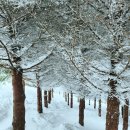 월송수퍼 이미지