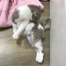 100번길편의점 이미지