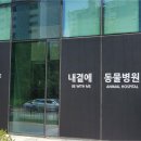 S클래스 동물병원 이미지