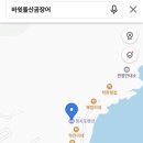 에너지산곰장어 이미지