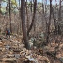 곡성-132 티스토리