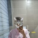 에코내과의원 이미지