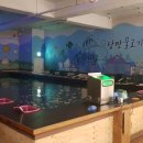 낭만물고기실내낚시카페 이미지