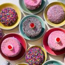 감삼동331 이미지