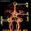 두피질환에 시달리지 않으려면~~ 유양돌기부터 두드려라~~ 이미지