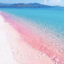 [해외여행]보기만 해도 러블리한 전 세계 핑크빛 여행지 이미지