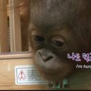 반찬에 반하다 이미지