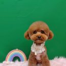 상일축산 이미지