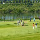 파크골프 안전에 대한 교육이 필수 이미지