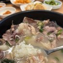 용인순대국 - 광명시 광명로 468 | 용인순대국