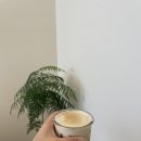 MPT(엠피티) 네이버블로그