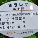 별당 이미지