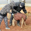 김성태 농장 이미지