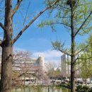 인하대학교 교직원식당 | 면접, 단순한 두 가지만 지키면 됩니다-인하대 강의 후기